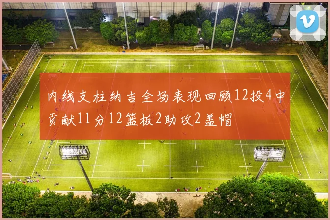 内线支柱纳吉全场表现回顾12投4中贡献11分12篮板2助攻2盖帽